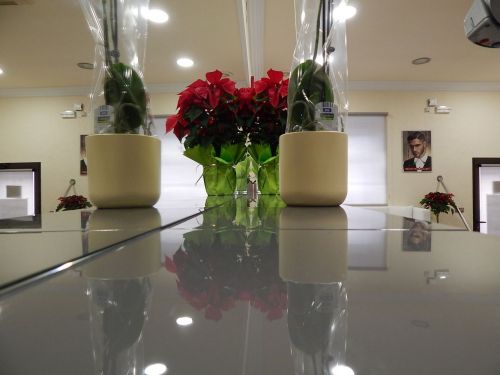 Acceso a Salón de Belleza en Petrer